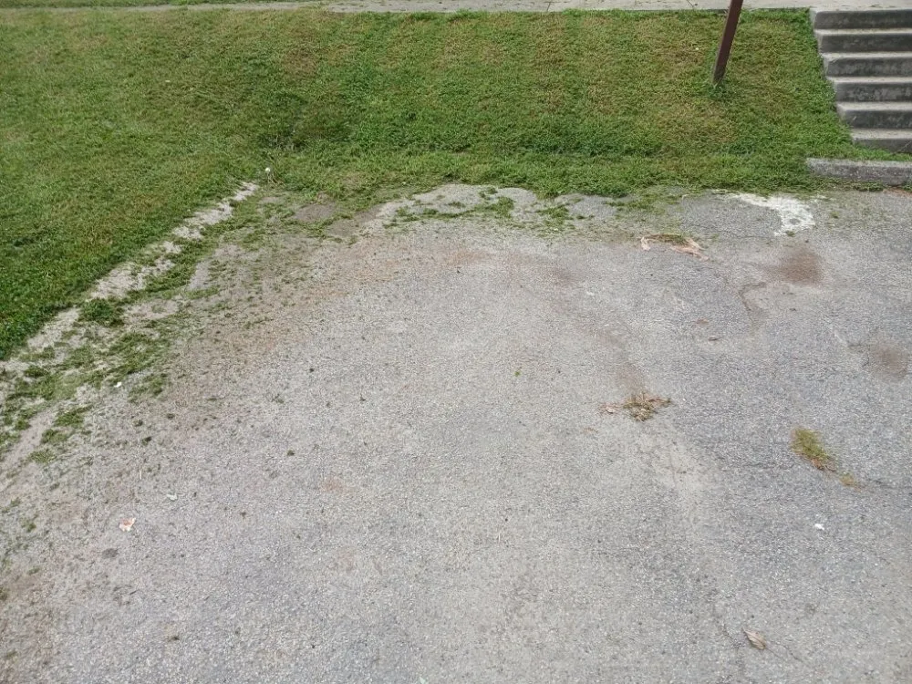 Top-rated yard cleanup service for beautiful yards across Indianapolis, IN - Mells