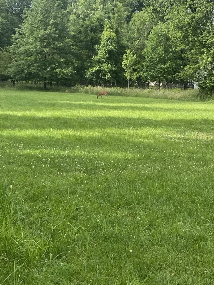 Reliable residential landscaping in Cleveland, OH - Mell’s Way out Landscaping & Hauling