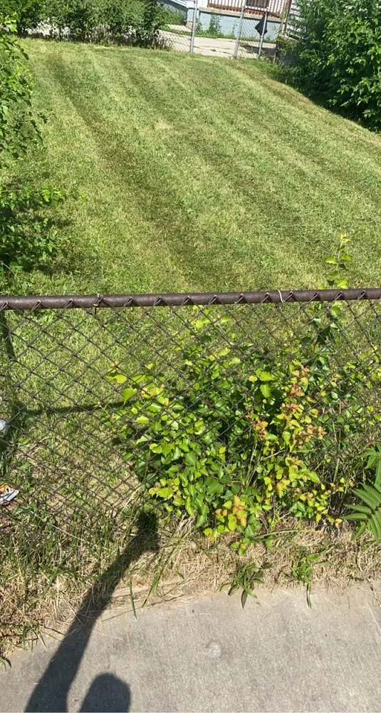 Expert yard maintenance in Cleveland, OH - Mell’s Way out Landscaping & Hauling