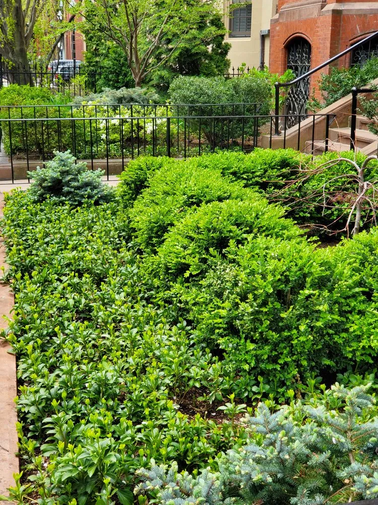 Reliable outdoor landscaping for residential properties in Boston, MA by Melo Garden Design