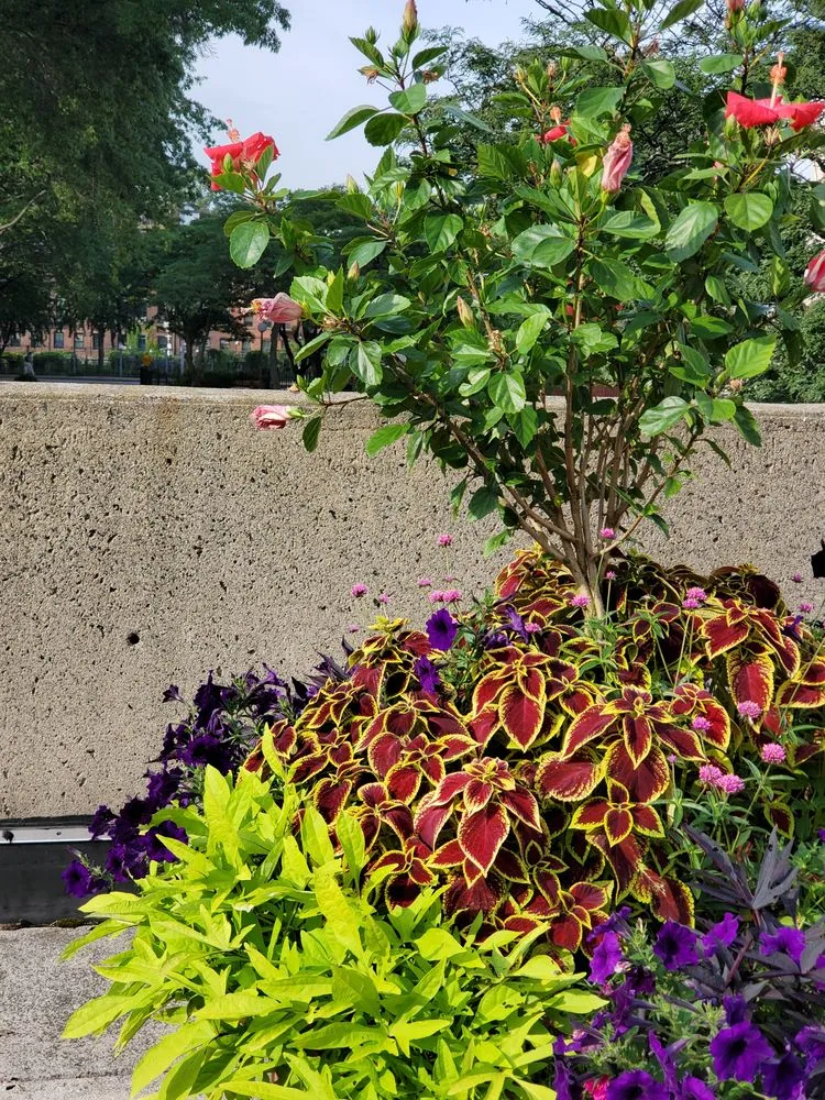 Local outdoor landscaping in Boston, MA - Melo Garden Design