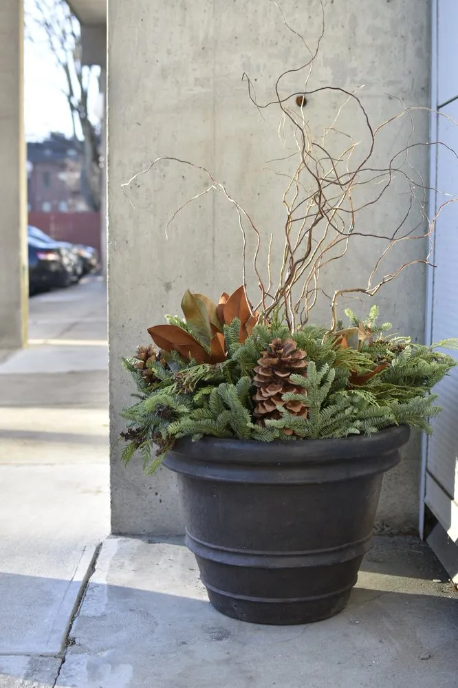 Reliable lawn care service for year-round maintenance in Boston, MA by Melo Garden Design