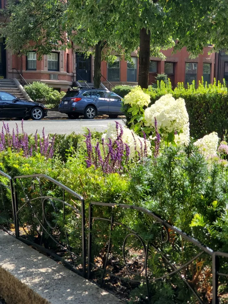 Affordable landscape design in Boston, MA by Melo Garden Design