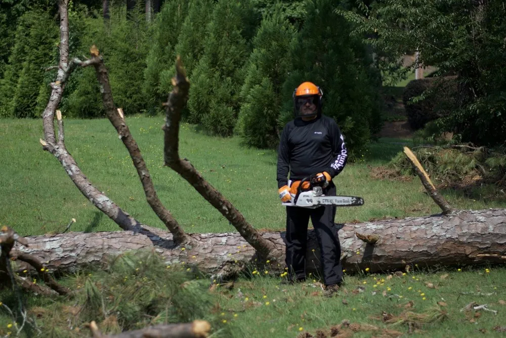 Trusted yard cleanup service experts serving Cumming, GA - Melo Group Service
