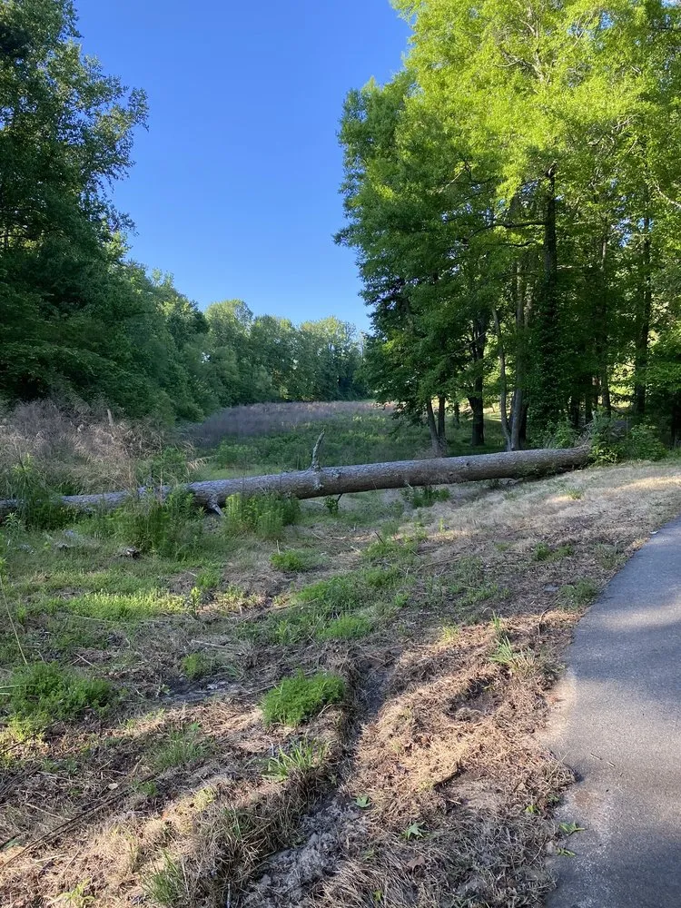 Reliable yard cleanup service in Cumming, GA by Melo Group Service