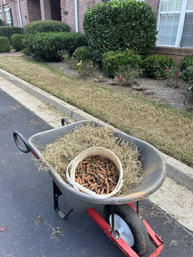 Affordable landscape design in Cumming, GA - Melo Group Service