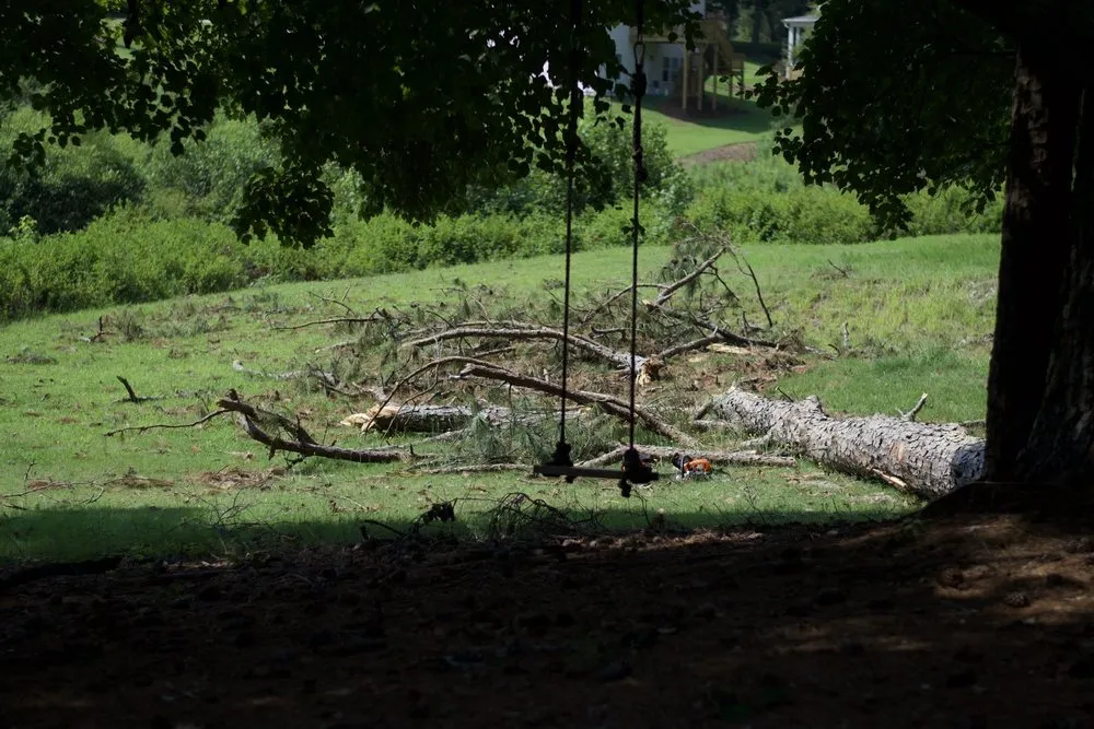 Professional yard cleanup service for year-round maintenance across Cumming, GA - Melo Group Service
