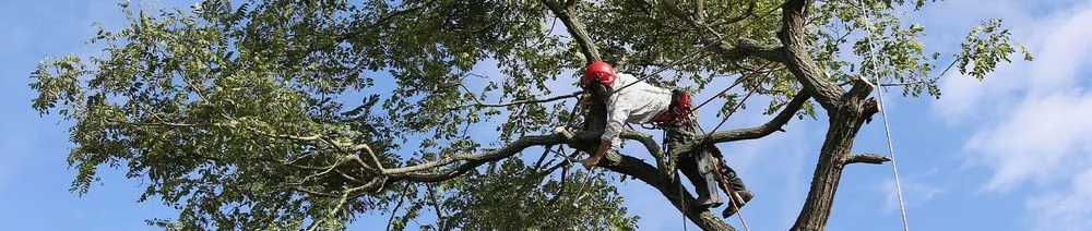 Local landscape design in Port Orchard, WA by Melody Landscaping