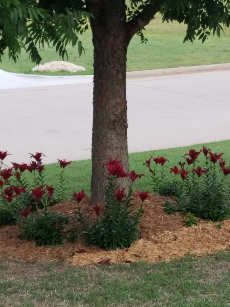 Affordable residential landscaping in Shawnee, OK by Melot Mowing