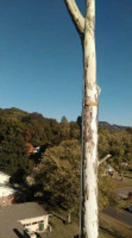 Affordable landscape installation in Huntsville, AL by Melrose Tree and Landscaping