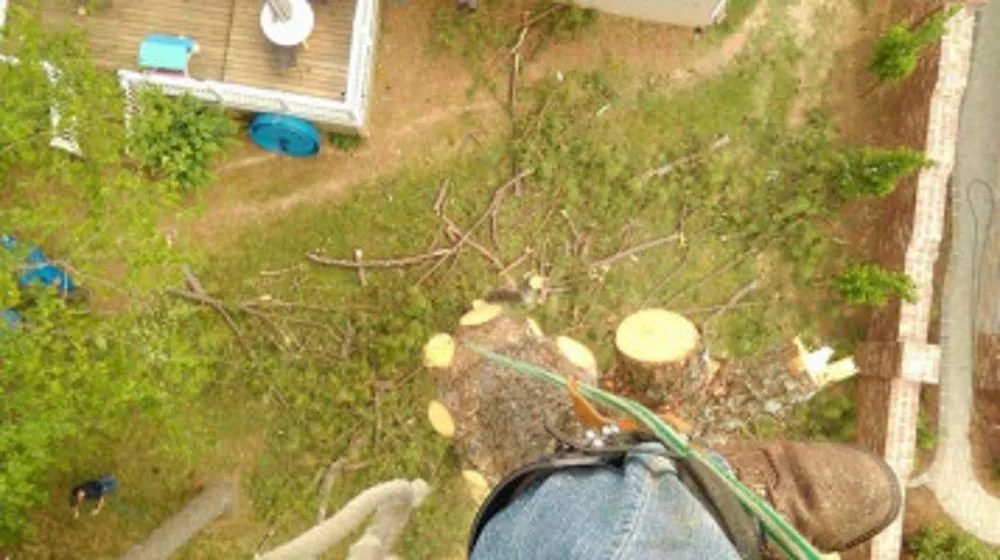 Affordable landscaping services experts serving Huntsville, AL - Melrose Tree and Landscaping