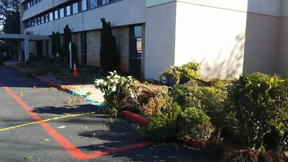 Custom yard cleanup service in Huntsville, AL by Melrose Tree and Landscaping