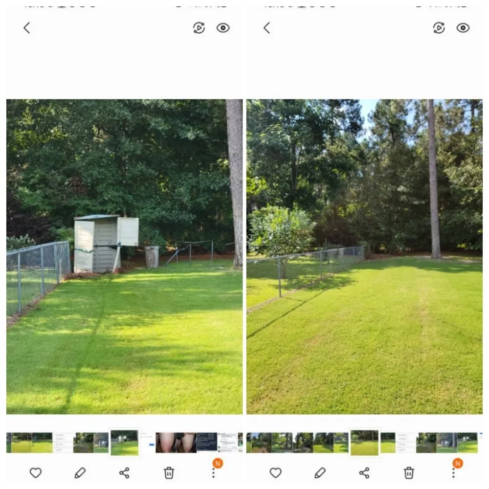 Trusted lawn mowing service in Wagener, SC by Mels Junk Removal