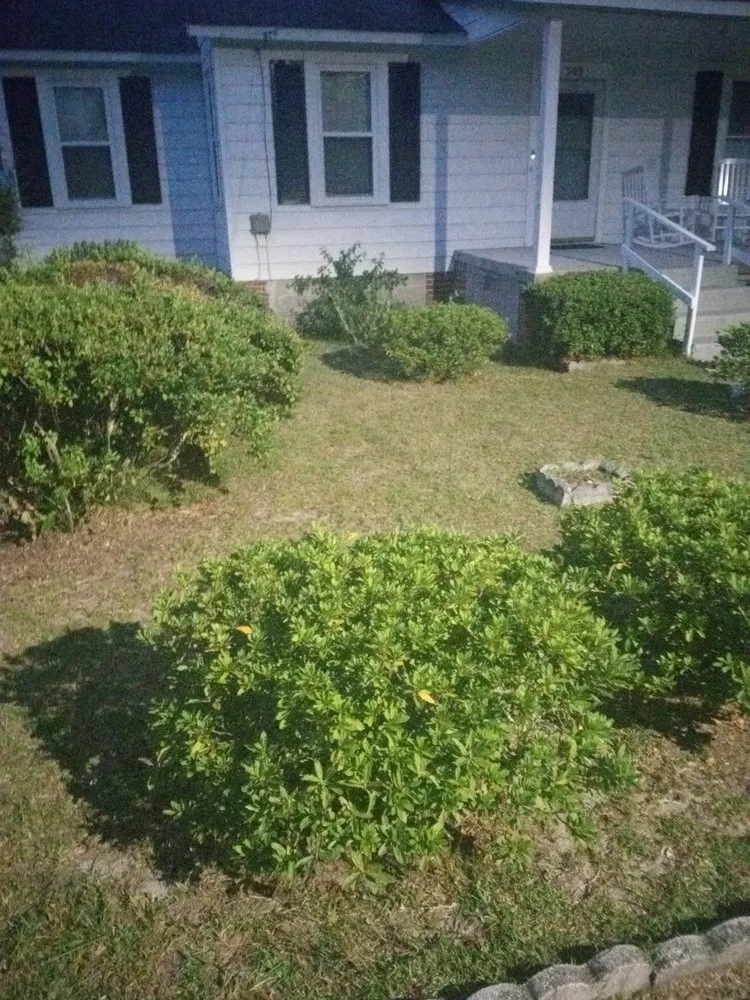 Professional landscape design in Walterboro, SC by Mel's Lawn Care & More