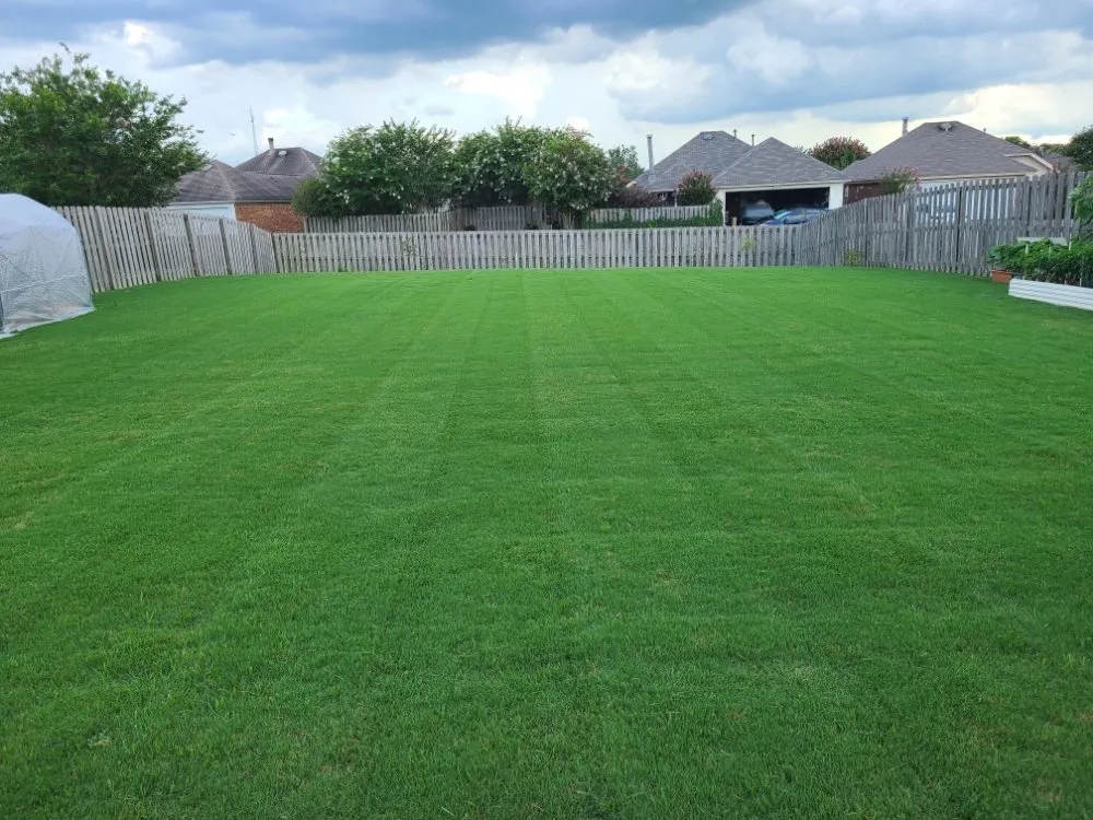 Trusted yard maintenance experts serving Montgomery, AL - Mel's Lawn Care