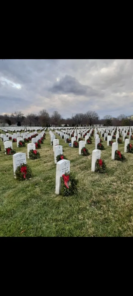 Local residential landscaping for year-round maintenance in Montgomery, AL by Mel's Lawn Care