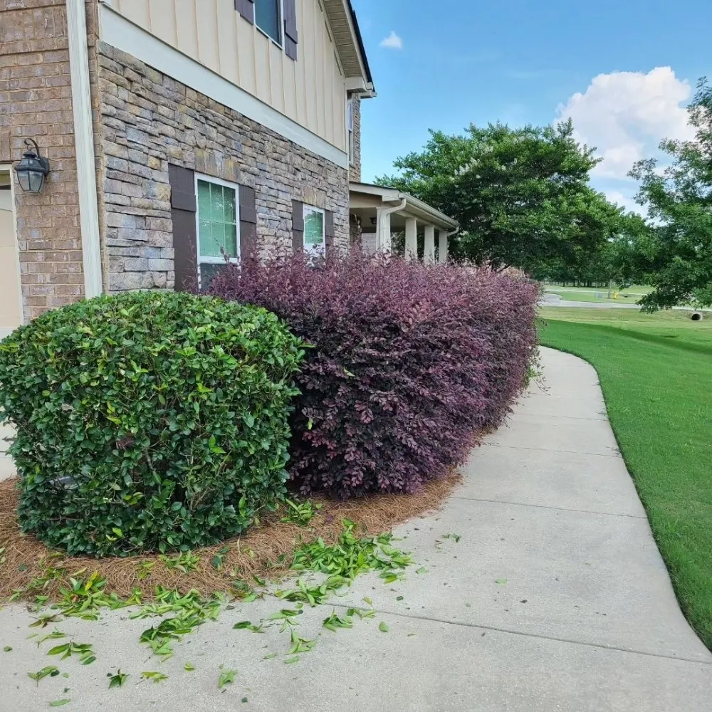 Professional lawn care service in Montgomery, AL - Mel's Lawn Care