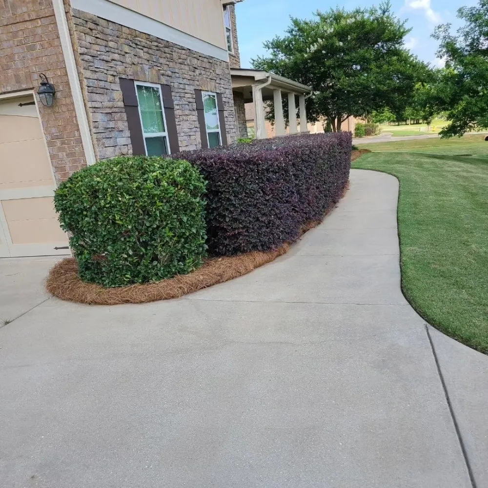 Expert lawn mowing service in Montgomery, AL by Mel's Lawn Care