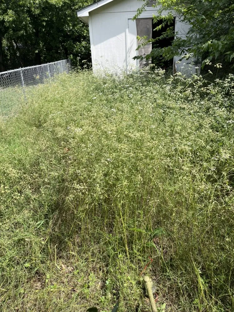 Local outdoor landscaping in Fort Worth, TX - Mel's Lawn Care Service