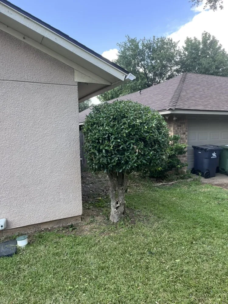 Professional landscape design for outdoor upgrades in Fort Worth, TX by Mel's Lawn Care Service