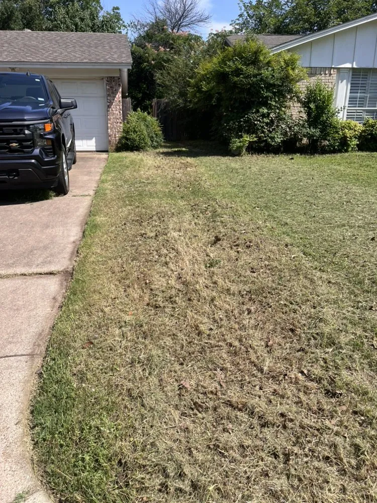 Professional landscaping services for year-round maintenance in Fort Worth, TX by Mel's Lawn Care Service