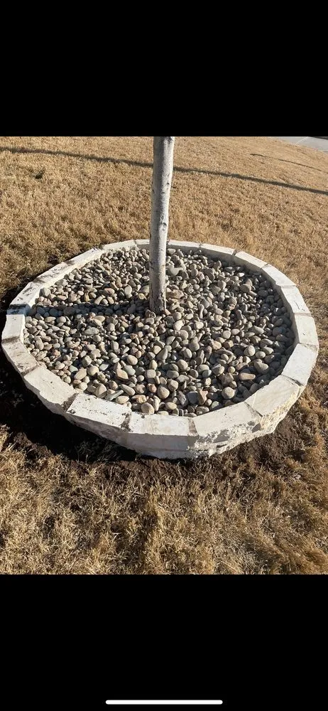 Reliable yard maintenance for year-round maintenance across Fort Worth, TX - Mel's Lawn Care Service