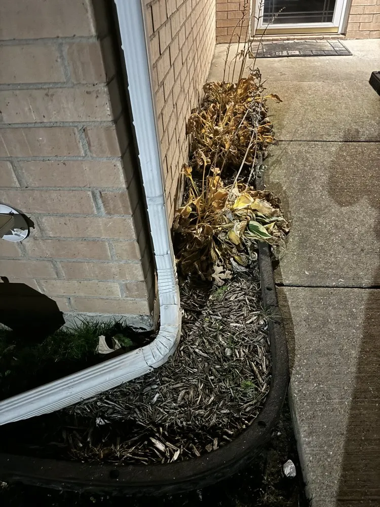 Professional yard maintenance near you across Fort Worth, TX - Mel's Lawn Care Service