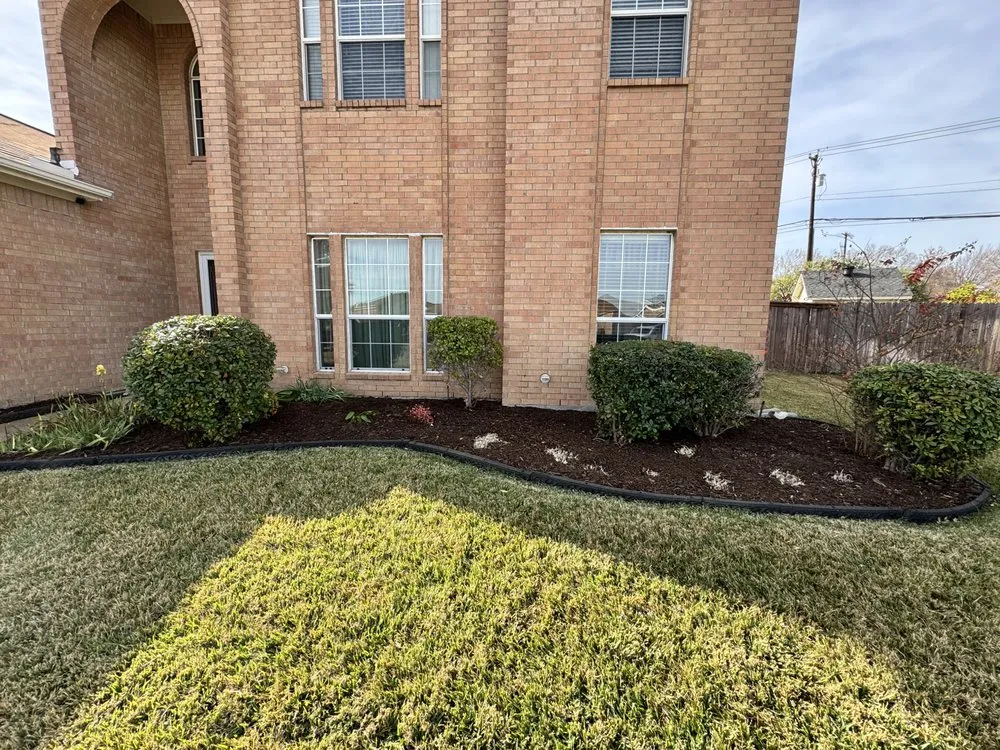 Trusted yard cleanup service experts serving Fort Worth, TX - Mel's Lawn Care Service