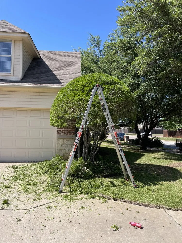 Reliable yard maintenance in Fort Worth, TX by Mel's Lawn Care Service