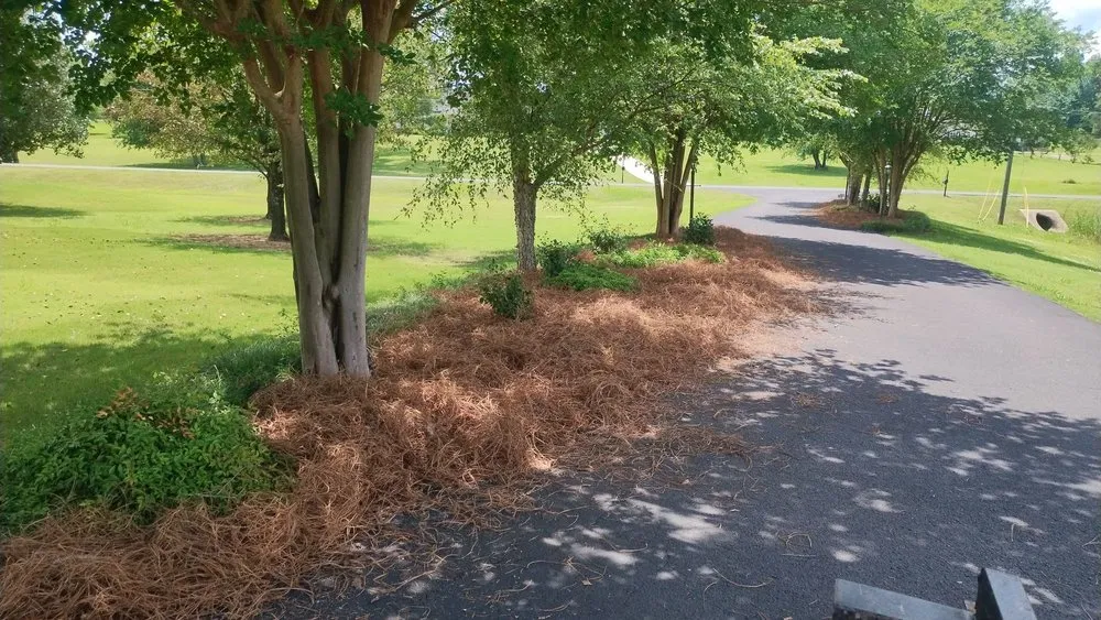 Custom residential landscaping with custom design in Deatsville, AL by Mel's lawn service