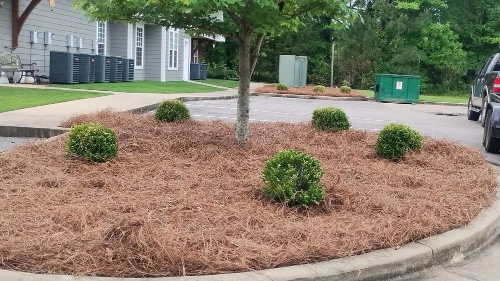 Affordable yard maintenance for homes across Deatsville, AL - Mel's lawn service