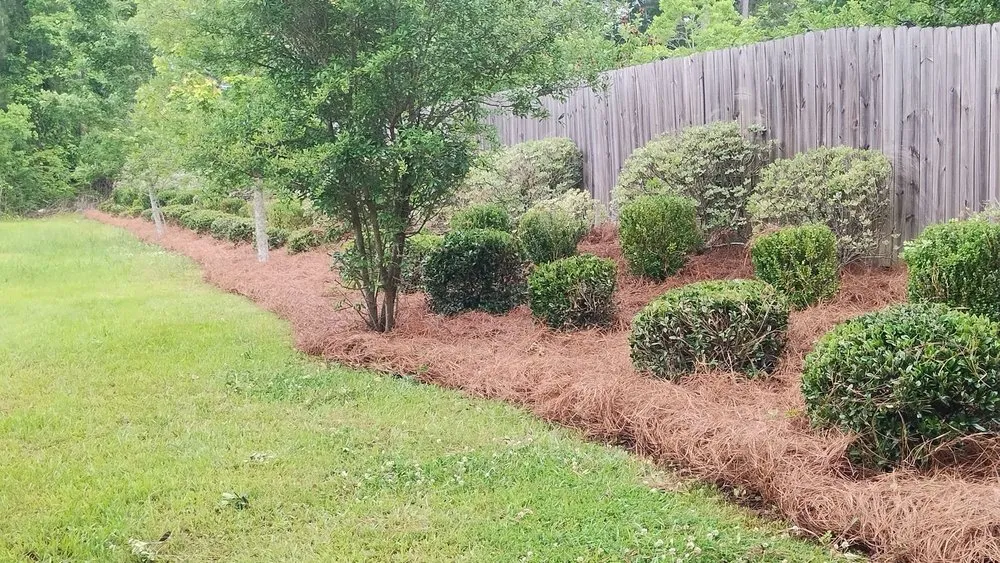 Local lawn care service in Deatsville, AL - Mel's lawn service