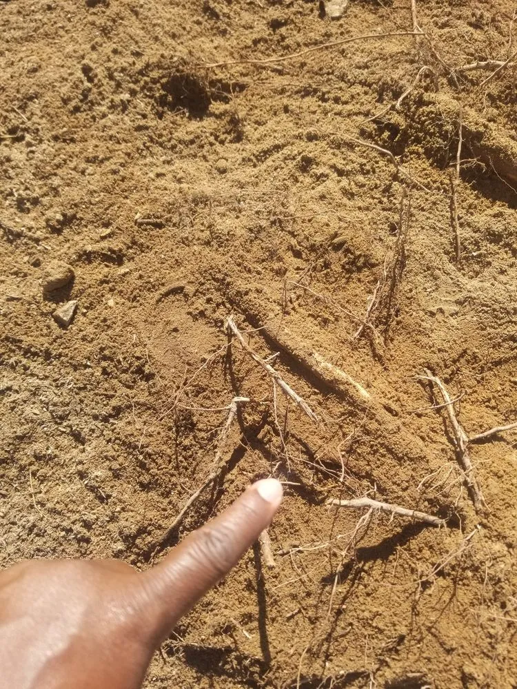 Local residential landscaping with custom design in Deatsville, AL by Mel's lawn service