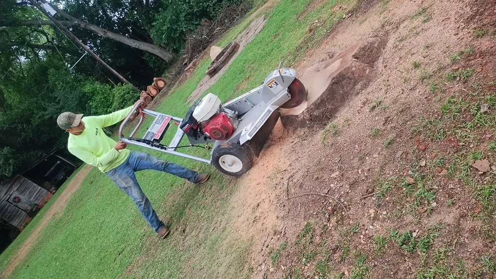 Expert yard cleanup service experts serving Deatsville, AL - Mel's lawn service