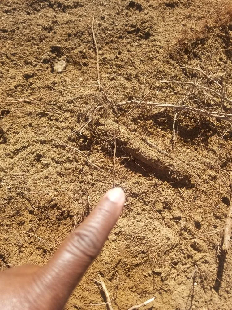 Trusted garden landscaping in Deatsville, AL - Mel's lawn service