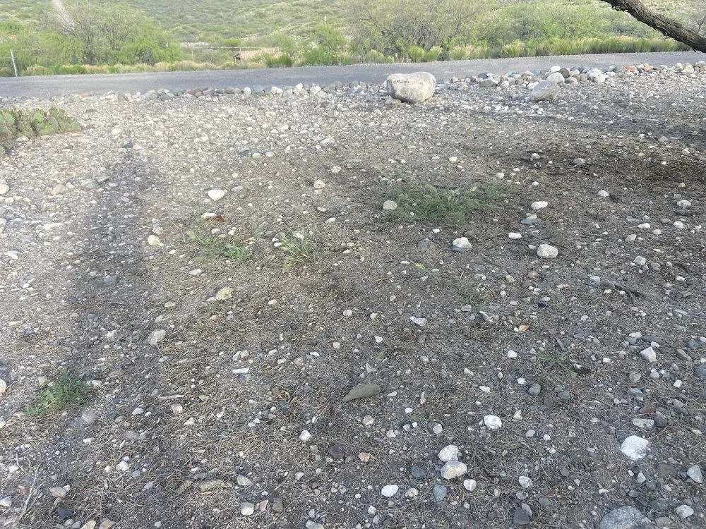 Reliable landscaping services for residential properties in Dewey, AZ by Mel's Outdoor Services