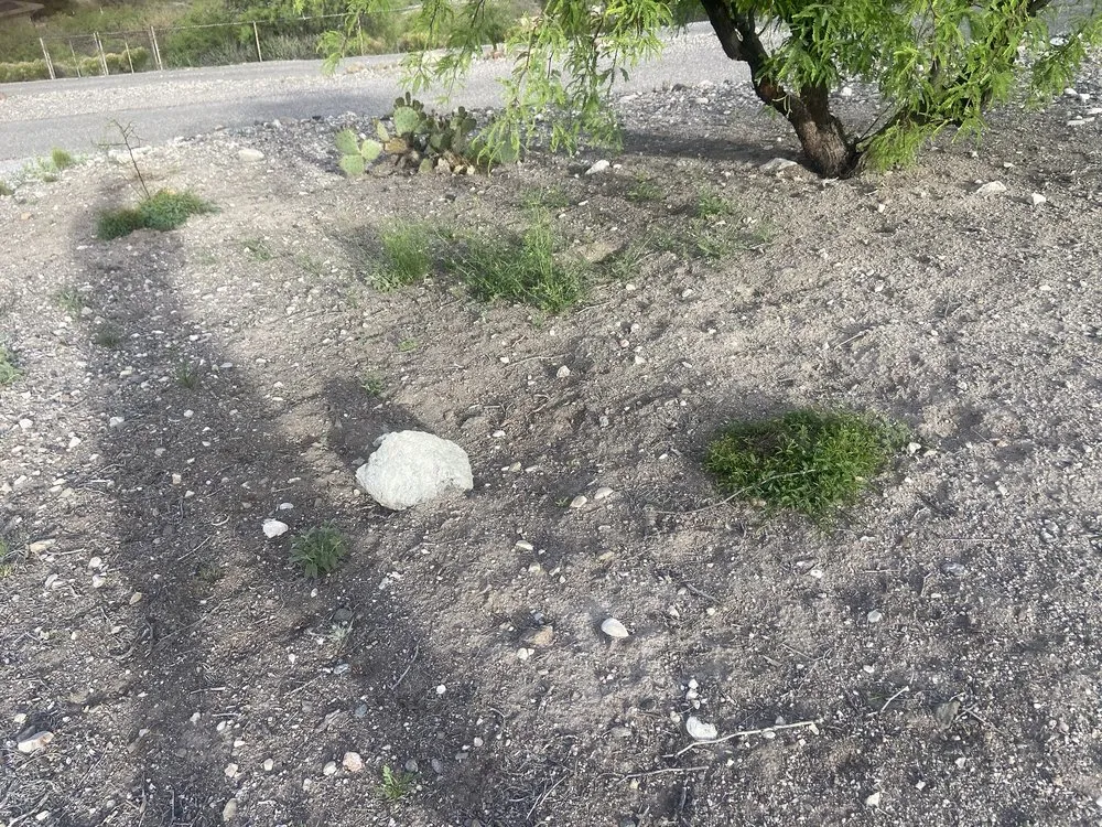 Expert landscaping services in Dewey, AZ - Mel's Outdoor Services