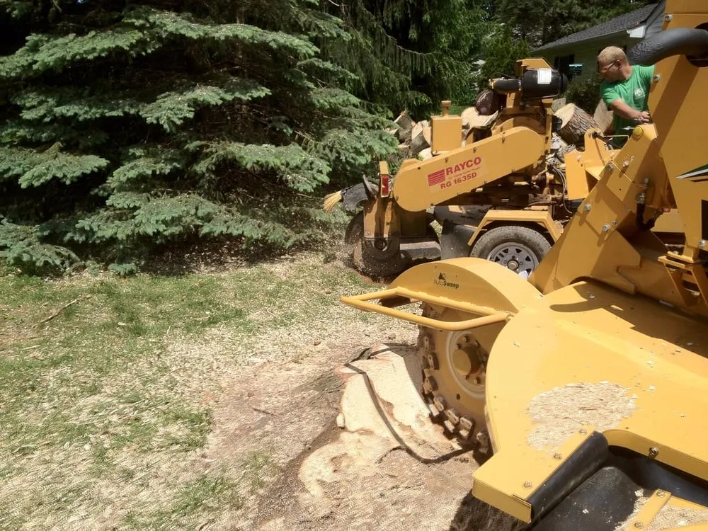 Top-rated lawn mowing service experts serving York, PA - Mel's Tree Service & Maintenance