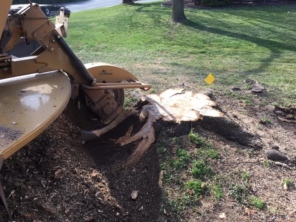 Local landscape design for year-round maintenance across York, PA - Mel's Tree Service & Maintenance