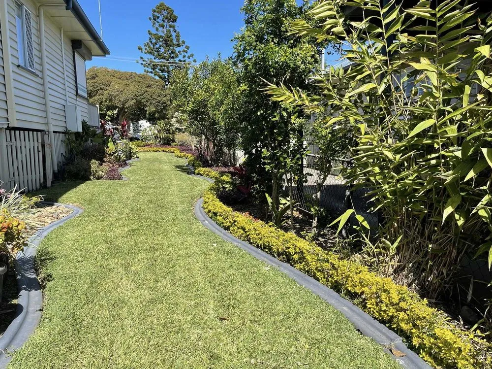 Affordable yard cleanup service in Dallas, TX by Melshire Lawn Care