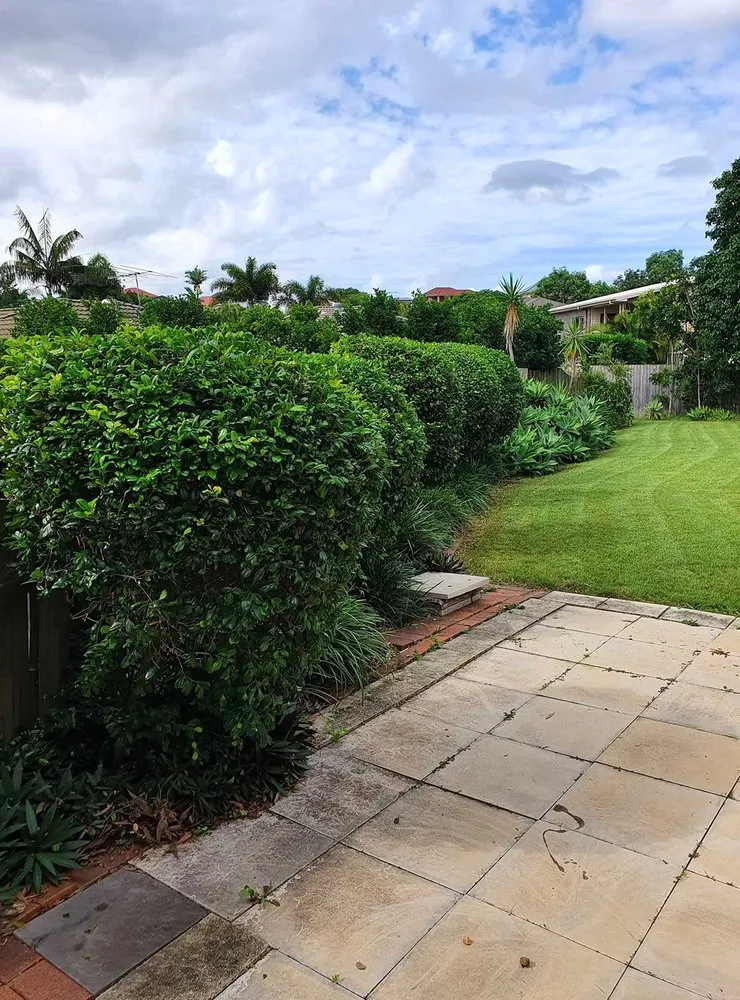 Local garden landscaping in Dallas, TX by Melshire Lawn Care