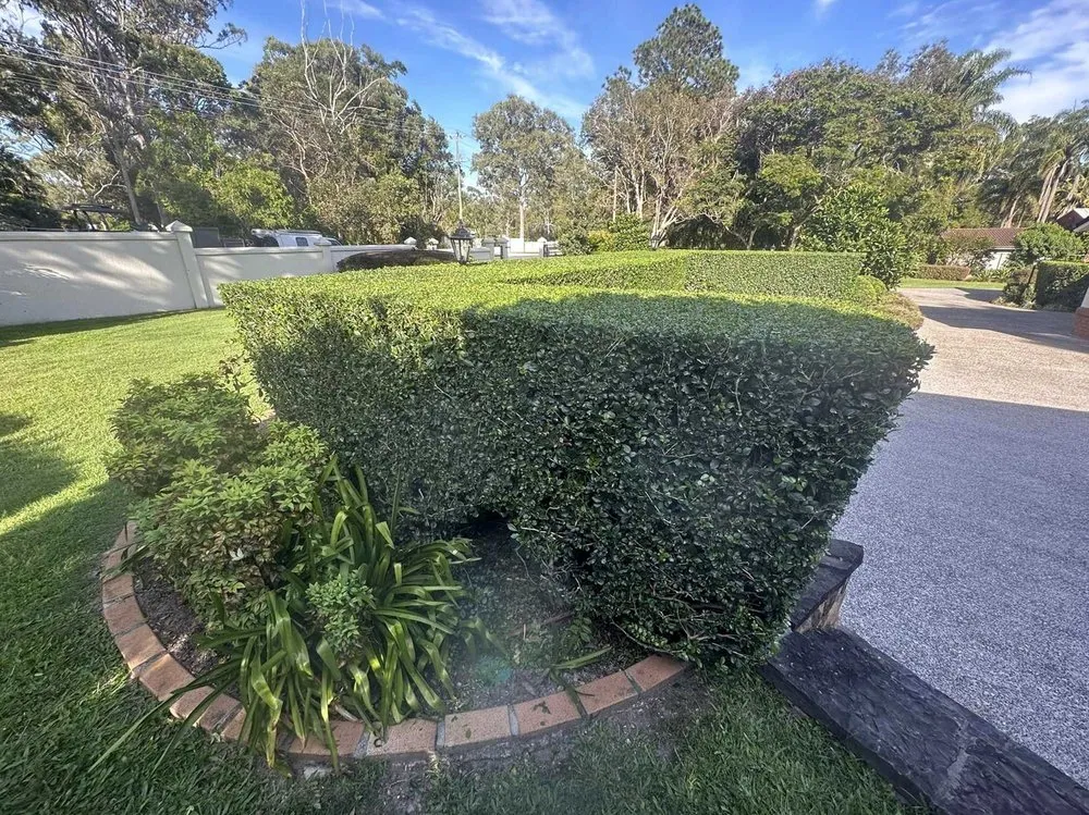 Custom outdoor landscaping in Dallas, TX - Melshire Lawn Care