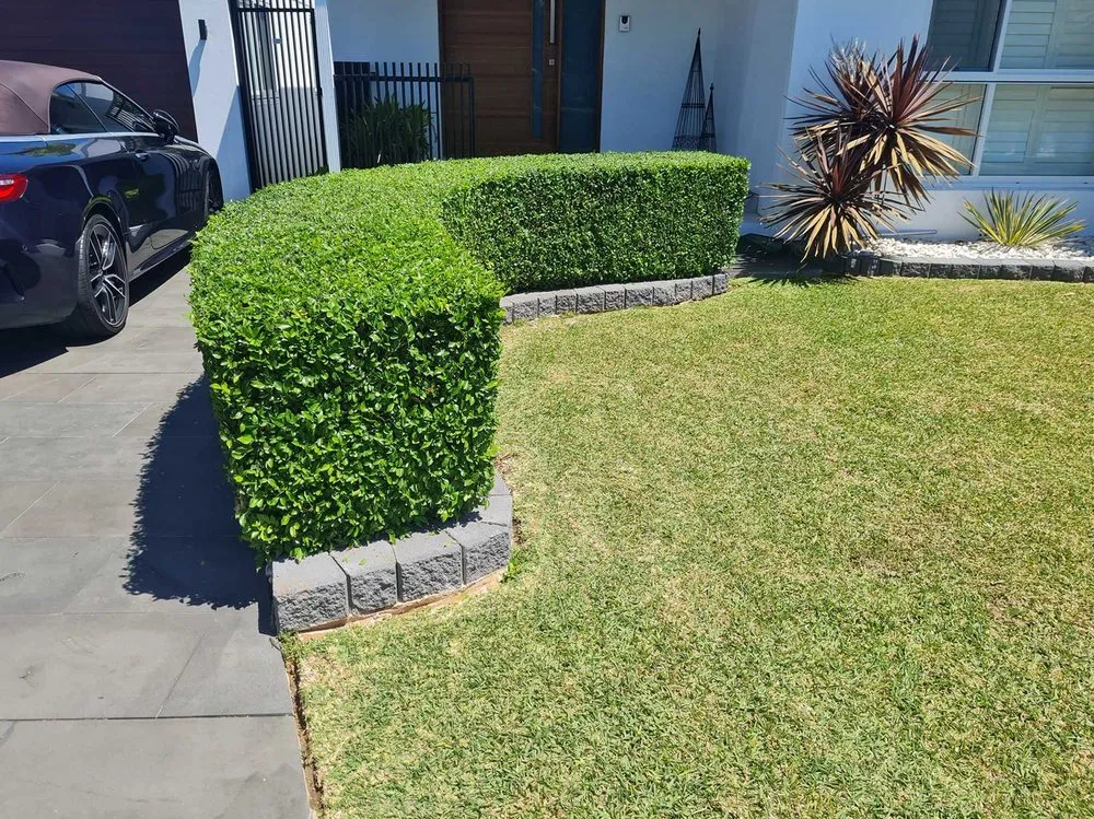 Expert lawn care service experts serving Dallas, TX - Melshire Lawn Care