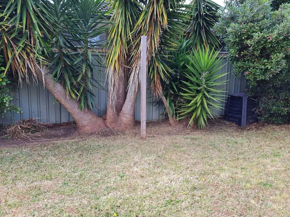 Affordable landscaping services in Dallas, TX - Melshire Lawn Care