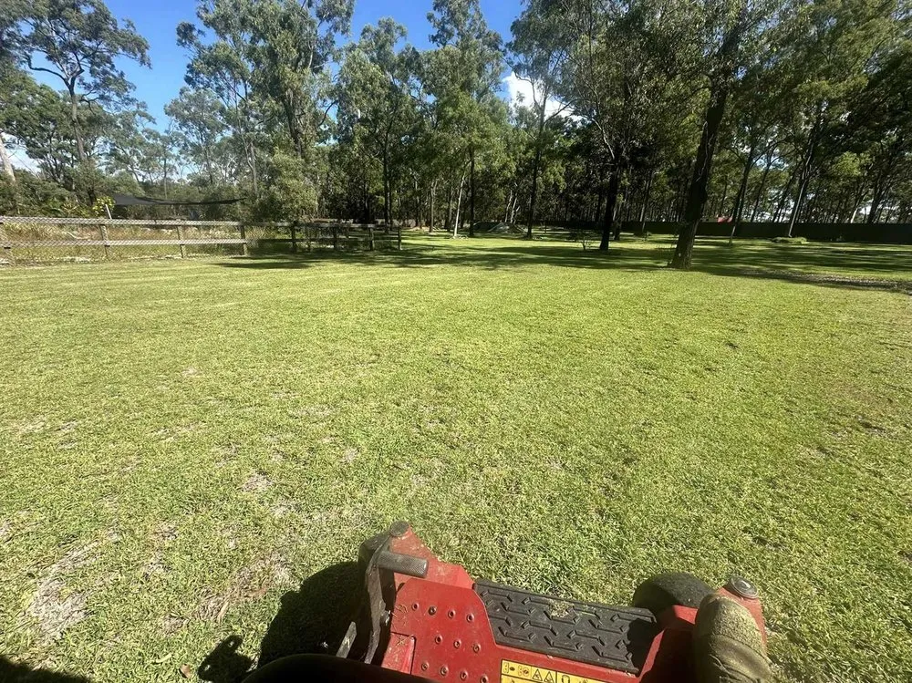 Trusted lawn mowing service in Dallas, TX by Melshire Lawn Care