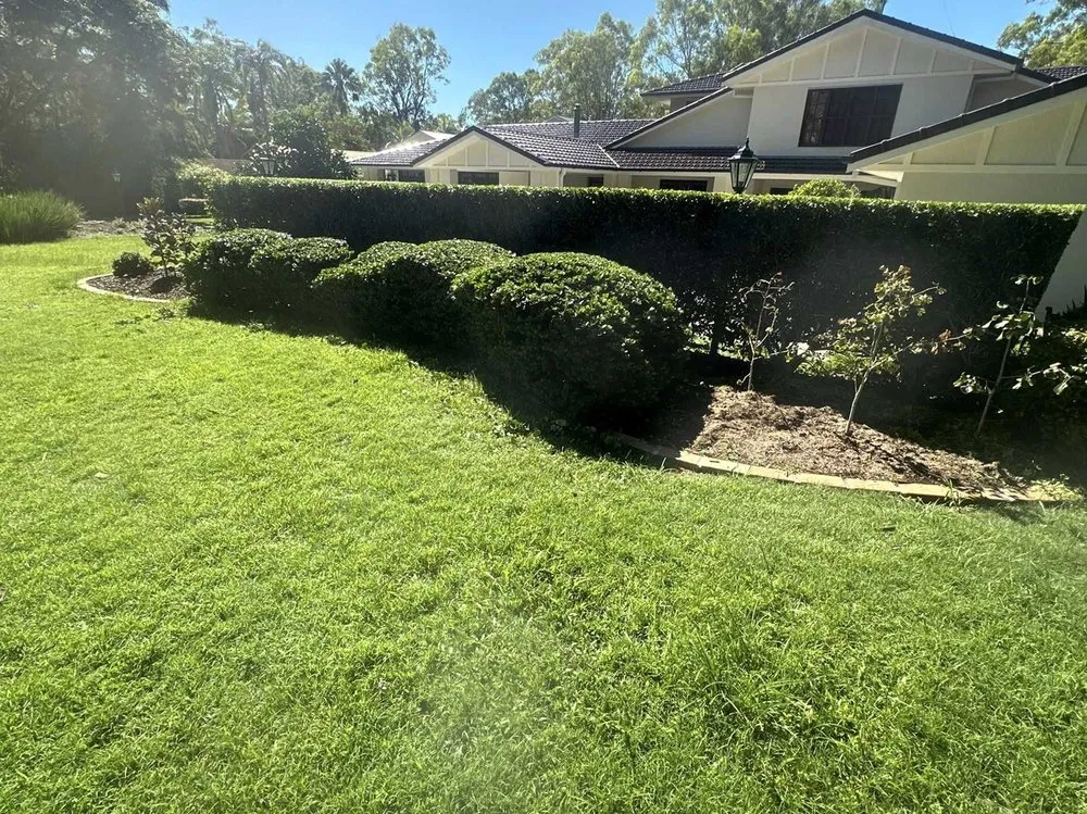 Affordable residential landscaping in Dallas, TX by Melshire Lawn Care
