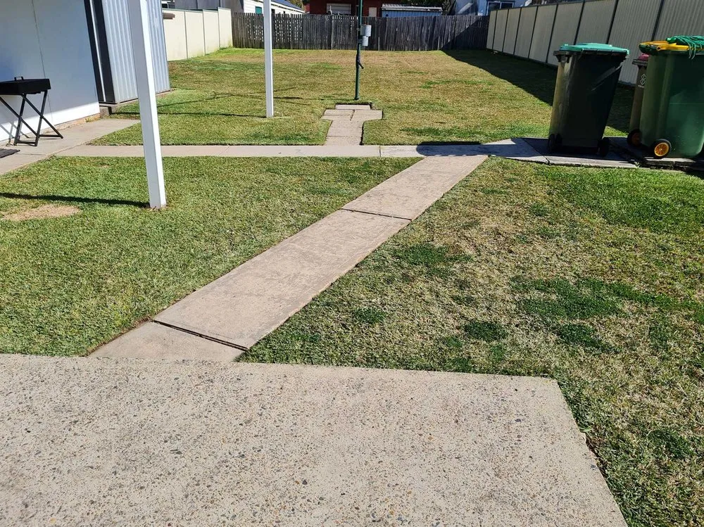 Top-rated yard cleanup service near you in Dallas, TX by Melshire Lawn Care