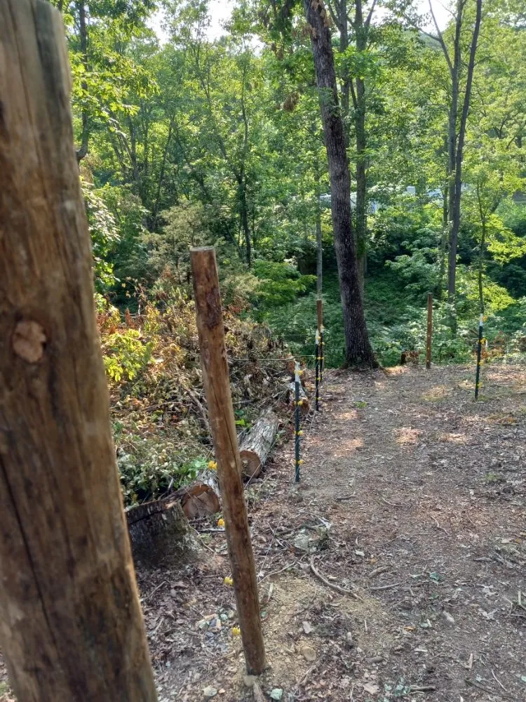 Custom landscape installation experts serving Tazewell, TN - Melt-On Walls Handyman Services