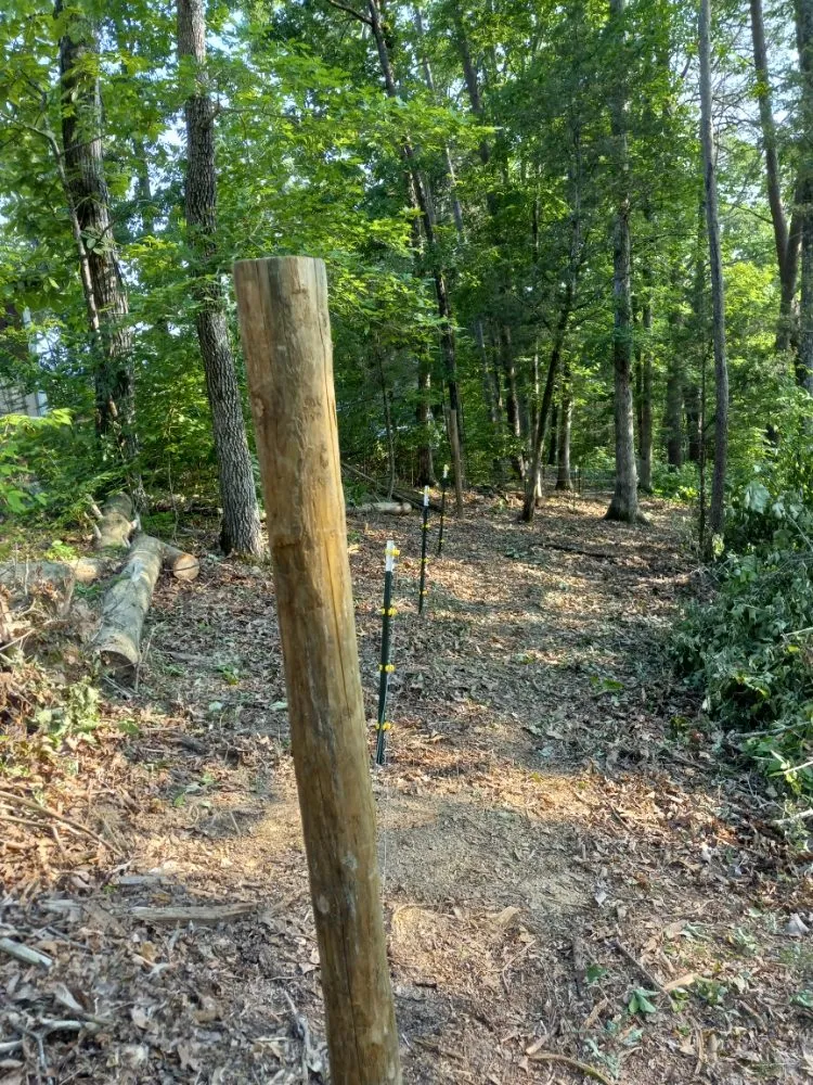 Custom landscaping services for year-round maintenance in Tazewell, TN by Melt-On Walls Handyman Services