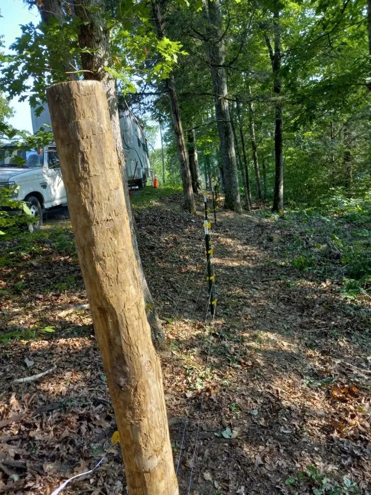 Custom lawn care service in Tazewell, TN - Melt-On Walls Handyman Services